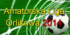 ligaorlikowa2014