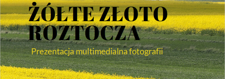 Prezentacja fotografii „Żółte Złoto Roztocza