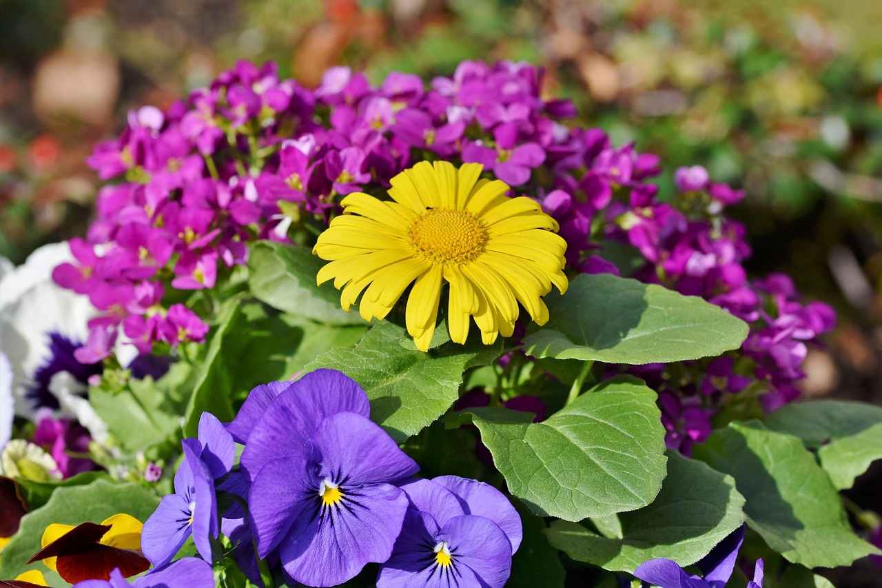 Życzenia z okazji Dnia Pracownika Socjalnego