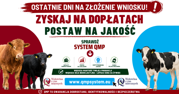 Ekoschemat „Dobrostan zwierząt” Dodatkowe pieniądze dla hodowców z QMP – tylko do 1 czerwca!