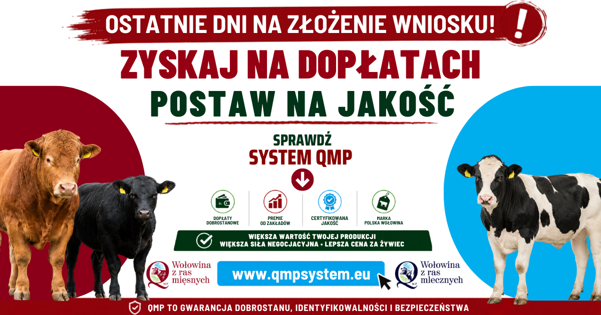 Ekoschemat „Dobrostan zwierząt” Dodatkowe pieniądze dla hodowców z QMP – tylko do 1 czerwca!