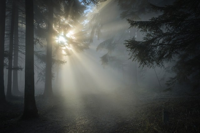 Ostrzeżenie meteorologiczne - Gęsta mgła – stopień 1