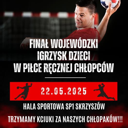 Finał Wojewódzki Igrzysk Dzieci W Piłce Ręcznej Chłopców