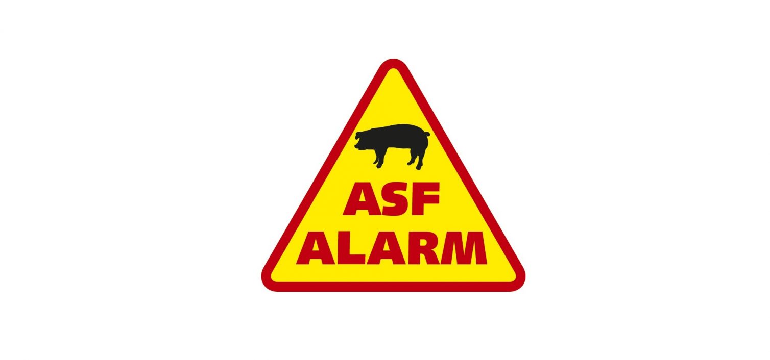 Afrykański pomór świń (ASF)